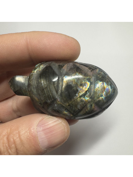 Tortue en Labradorite - 58mm