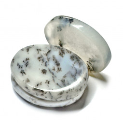 Galet Chakra d'Agate Dendrite