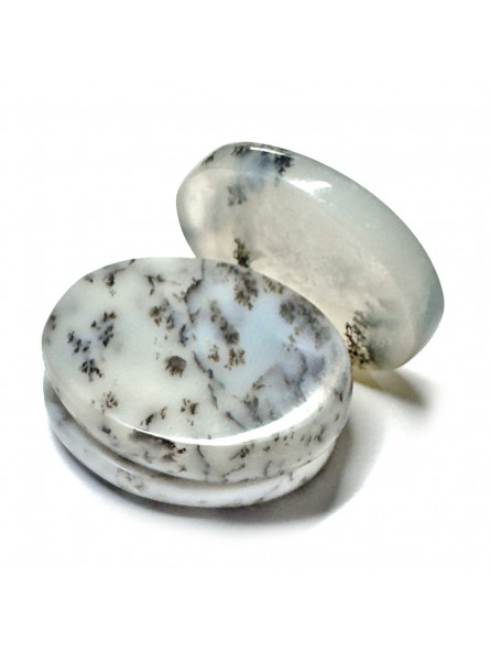 Galet Chakra d'Agate Dendrite