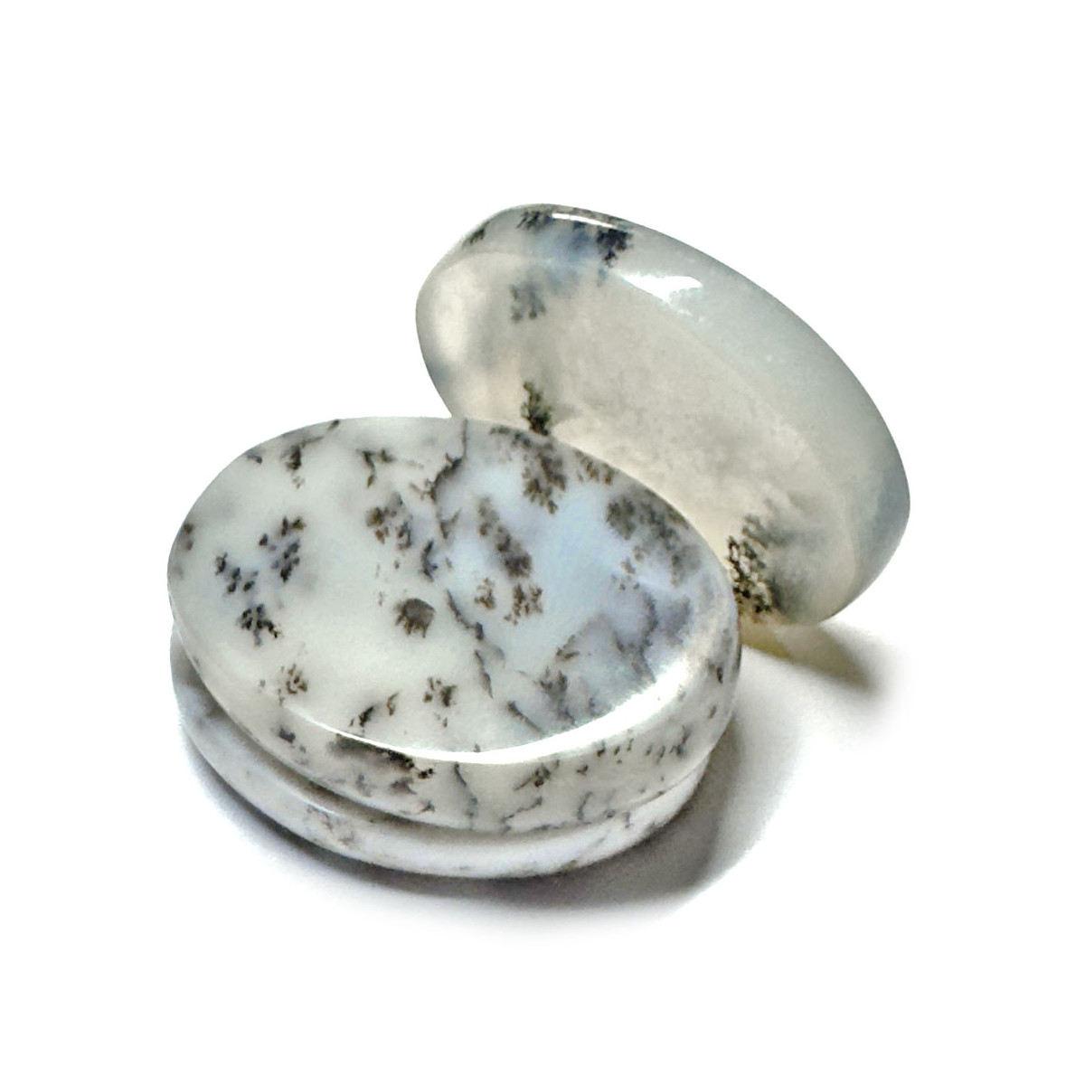 Galet Chakra d'Agate Dendrite