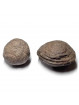 Paire de Moquis - 156 grammes