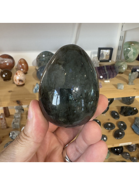 Oeuf en Labradorite - 308 Grammes