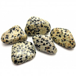 Pierre Roulée de Jaspe Dalmatien