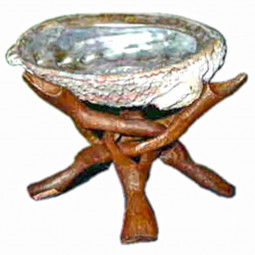 Coquille d'Ormeau