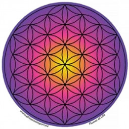 Sticker Fleur de Vie