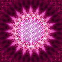 Carte de Voeux Fleur de Vie