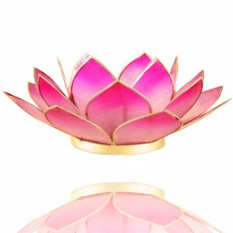 Photophore Lotus Rose or