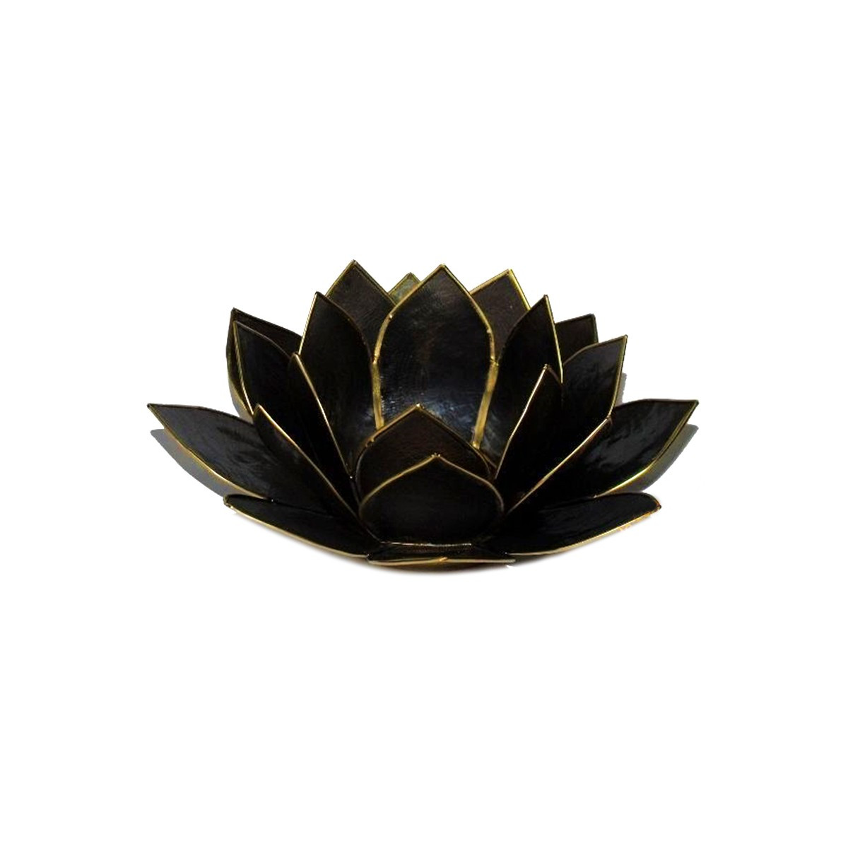 Photophore Lotus Noir
