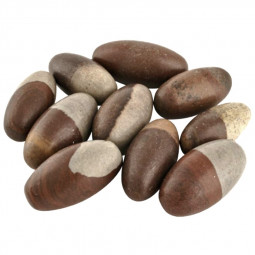 Shiva Lingam