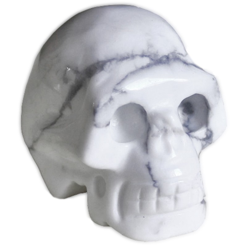 Crâne en Howlite