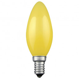 Ampoules par Lot de 4