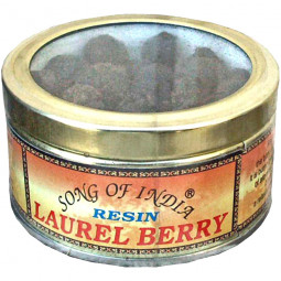 Encens Graines de Laurier