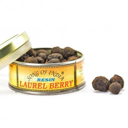 Encens Graines de Laurier