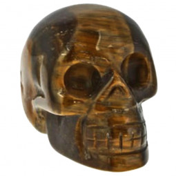 Crâne en Oeil de Tigre