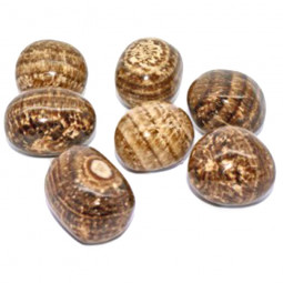 Pierre Roulée d'Aragonite Marron