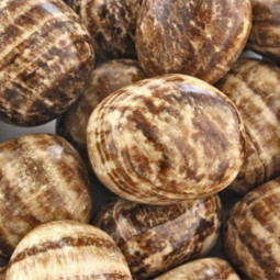 Pierre Roulée d'Aragonite Marron