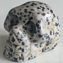 Crâne en Jaspe Dalmatien Vibrations Cristallines